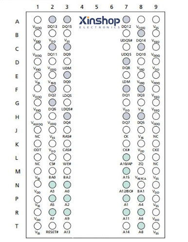 pinout-xinshop