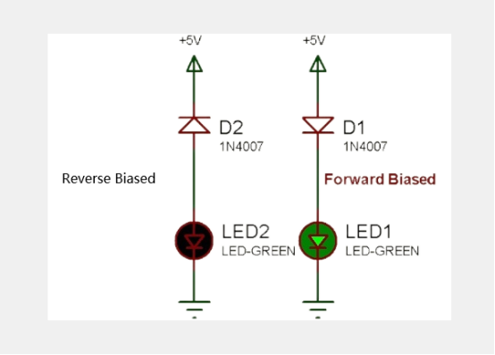 1N4007-circuit